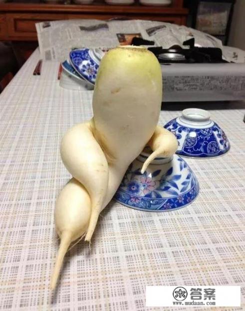 世界上都有哪些水果？