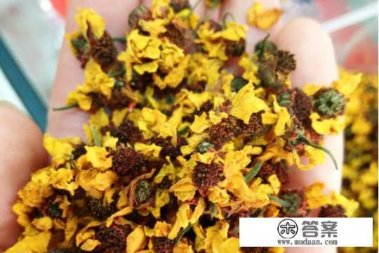 教你如何鉴别昆仑雪菊的真假及好坏? 教你如何鉴别昆仑雪菊的真假及好坏?