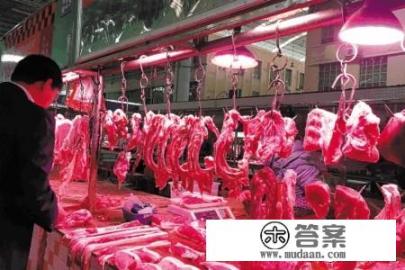 猪腰子在猪的哪个部位？