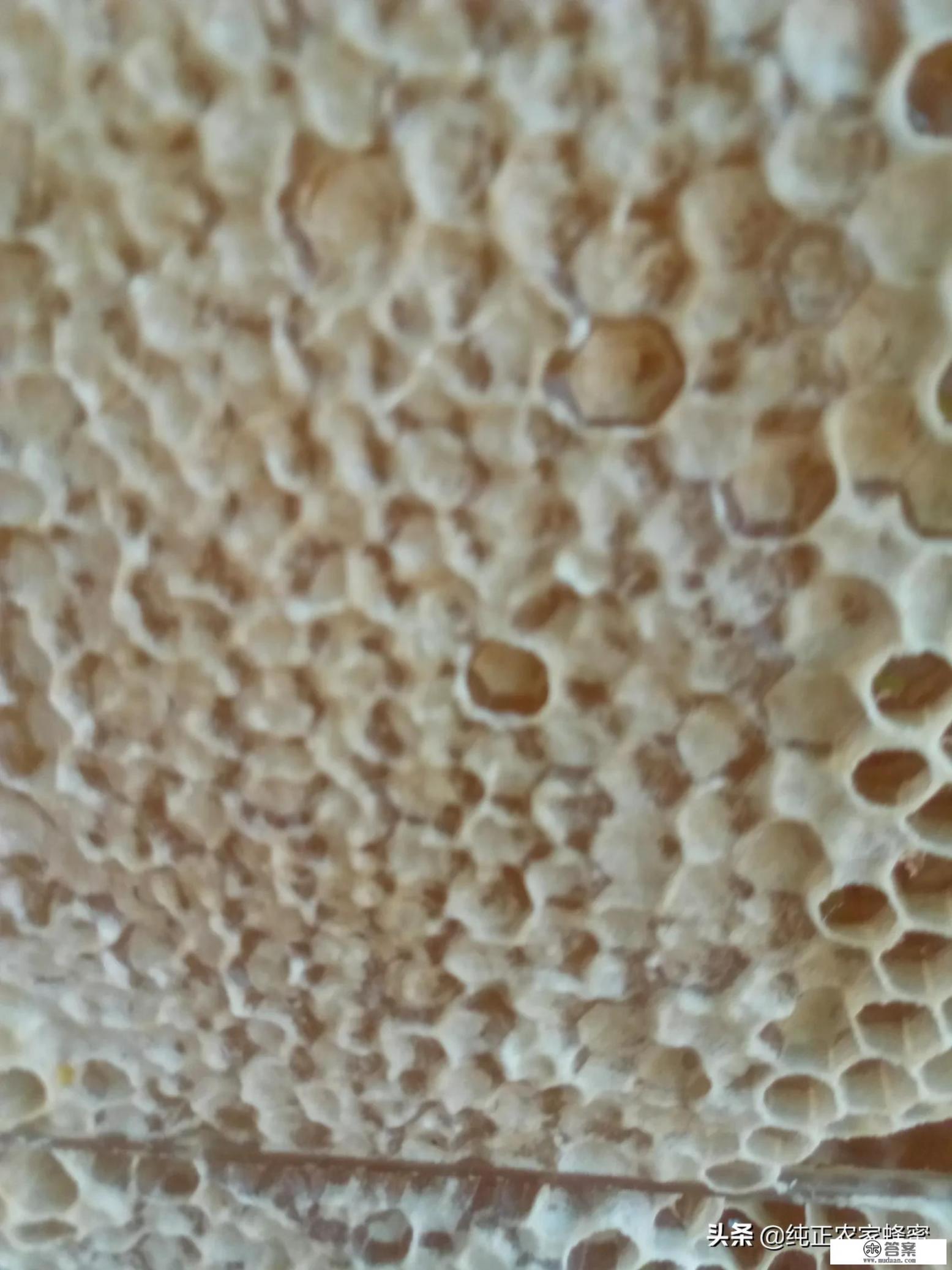 蜂蜜哪个牌子好？