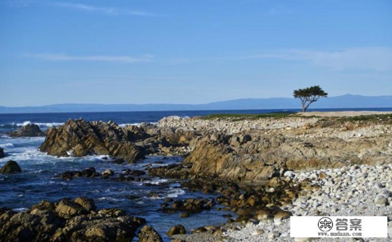 美国一号公路从哪到哪？