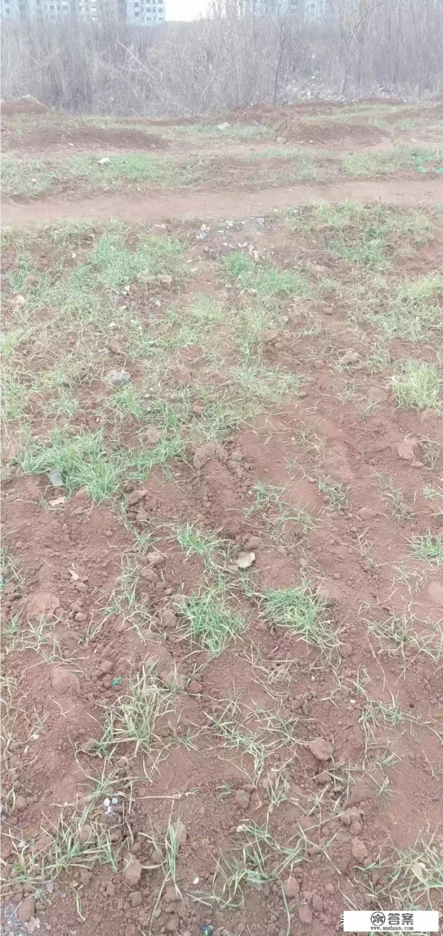 遗址的意思是什么? 遗址的意思是什么?