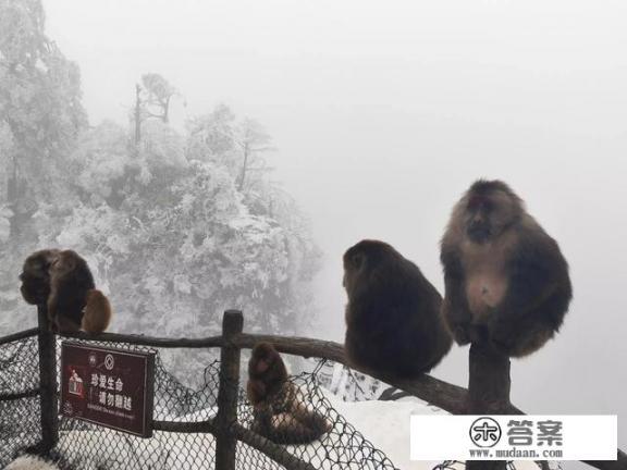 峨眉山值得去吗？