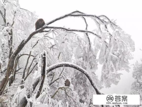 峨眉山值得去吗？