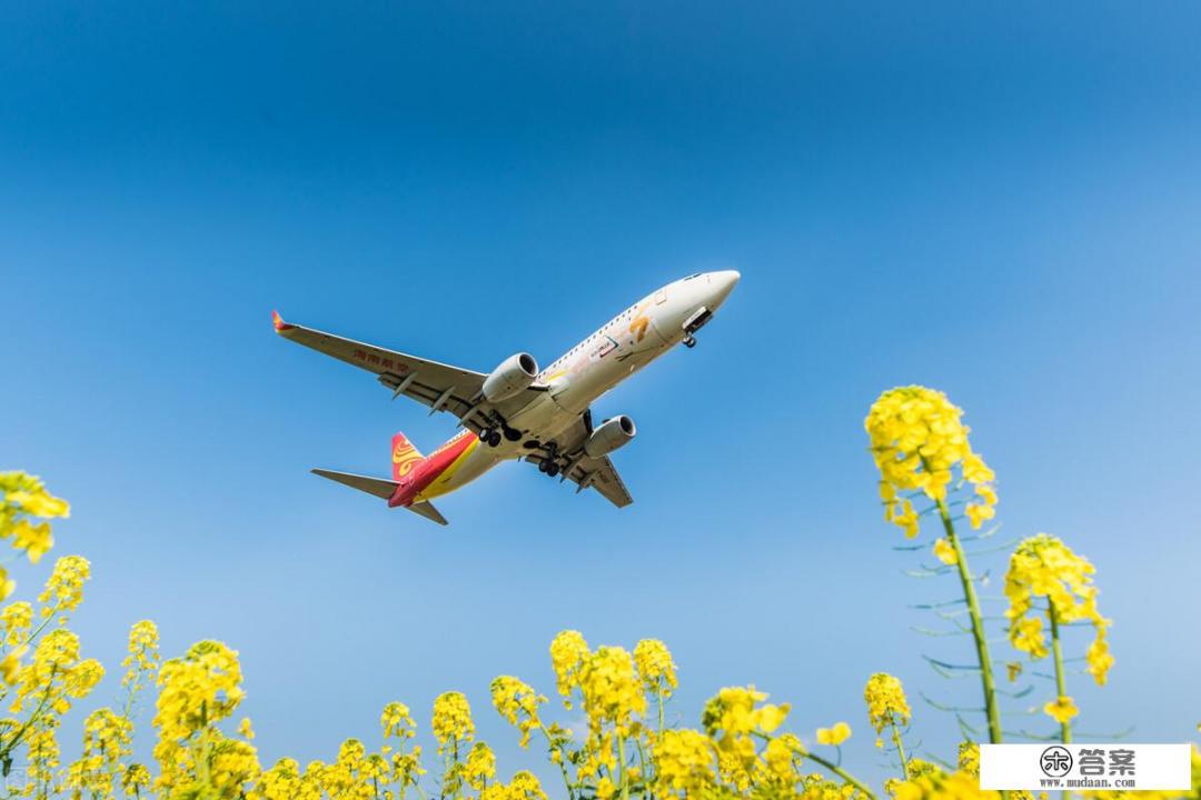 今年春节要不要去海南旅游？