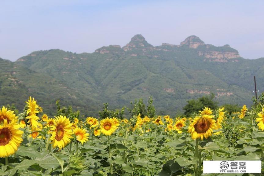 公主岭周边游玩景点推荐？