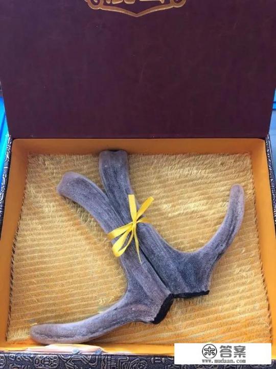 怎么配制补肾、健脾的药酒？