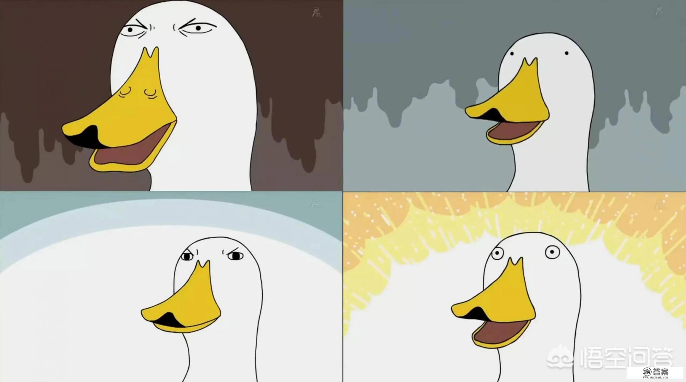 为什么超市有些鸭子只有几块钱一只？