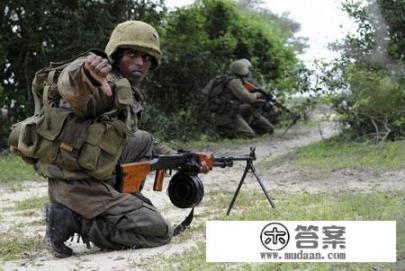 斯里兰卡战胜反政府的猛虎组织主要靠的是什么？