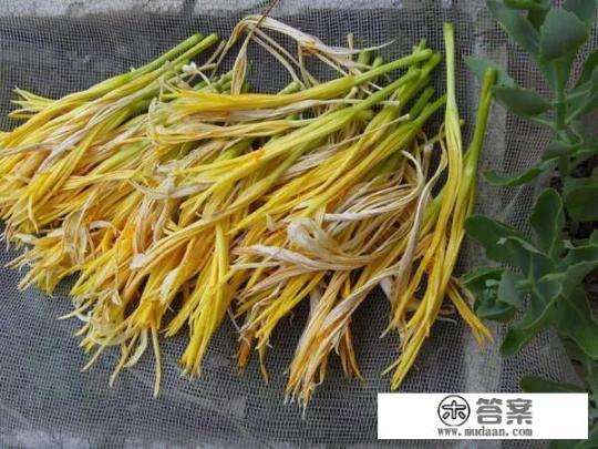 黄花菜的营养价值是什么? 黄花菜的营养价值是什么?