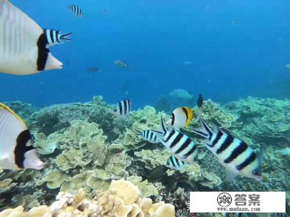 帕劳在哪儿？去旅游有什么好攻略推荐？