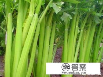 凉菜不放蒜的做法? 凉菜不放蒜的做法?