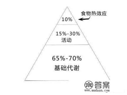 1个月坚持每天跑10公里能减肥吗？食物怎么吃？