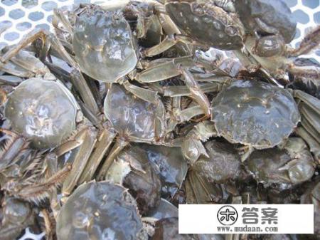 大闸蟹蒸着还是煮着吃好? 大闸蟹蒸着还是煮着吃好?