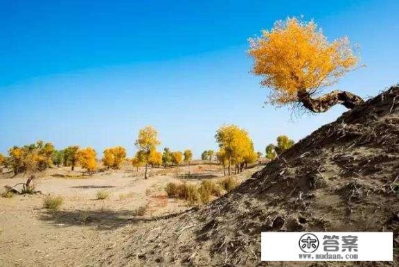 乌鲁木齐的地理位置具体是什么？