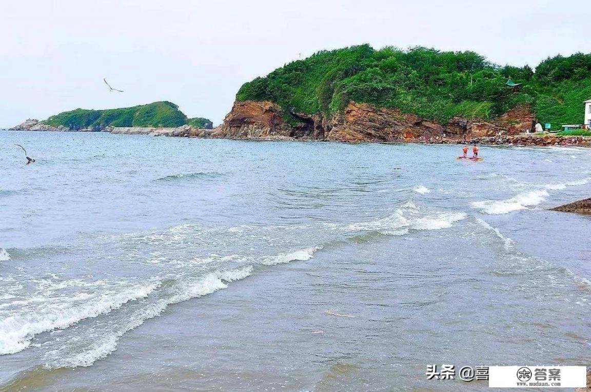 八月份一家人想去大连市獐子岛，去过的朋友给个省钱的旅游攻略？