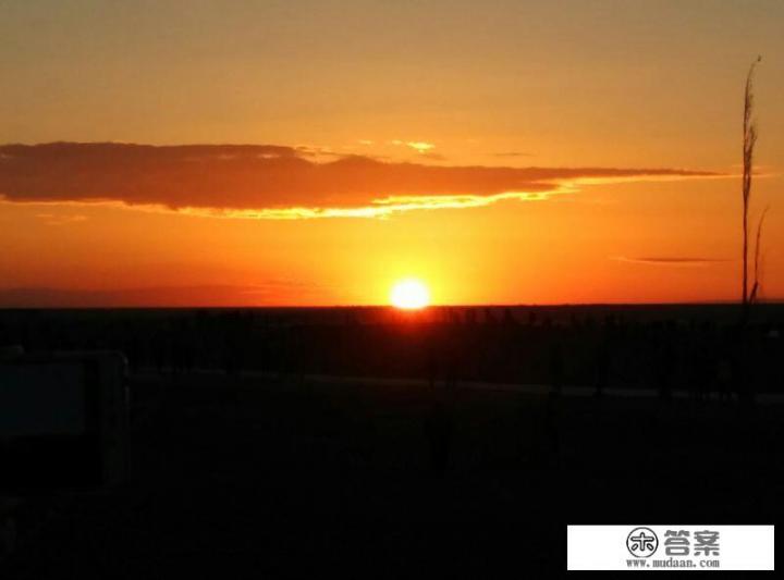 额济纳胡杨林如何露营? 额济纳胡杨林如何露营?