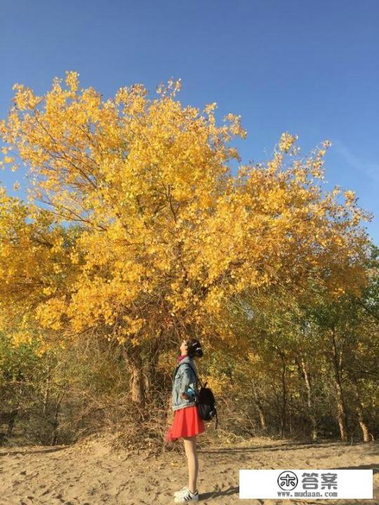 额济纳胡杨林如何露营? 额济纳胡杨林如何露营?