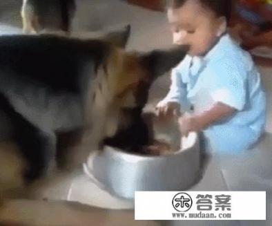1岁4个月宝宝吃什么辅食？