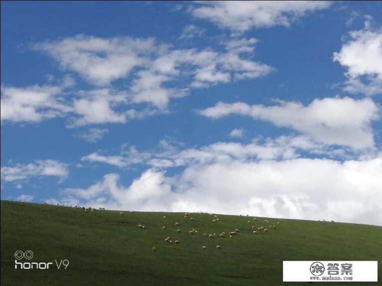 大西北旅游注意事项？