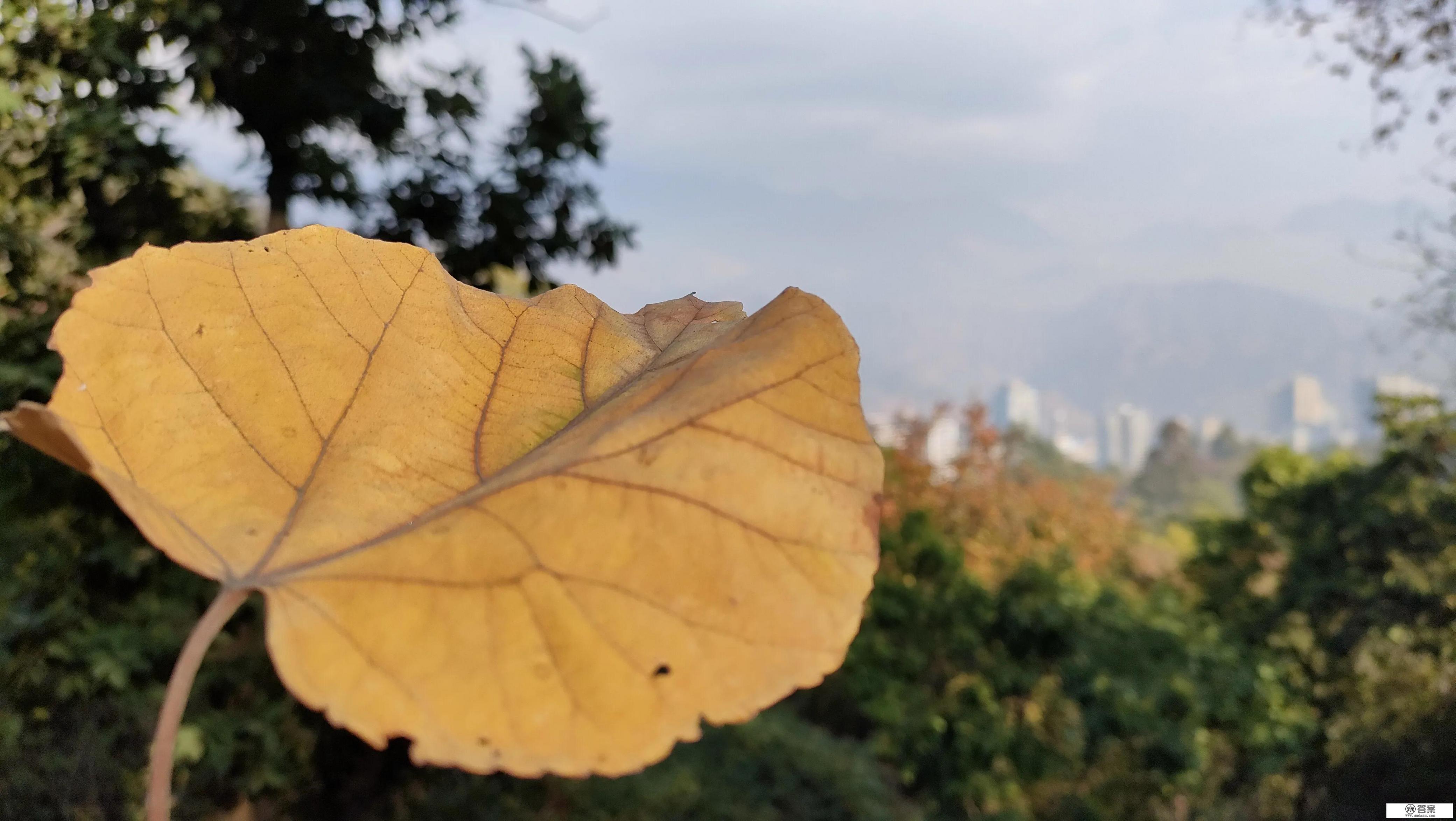 人在危机中的爆发力真的很大？