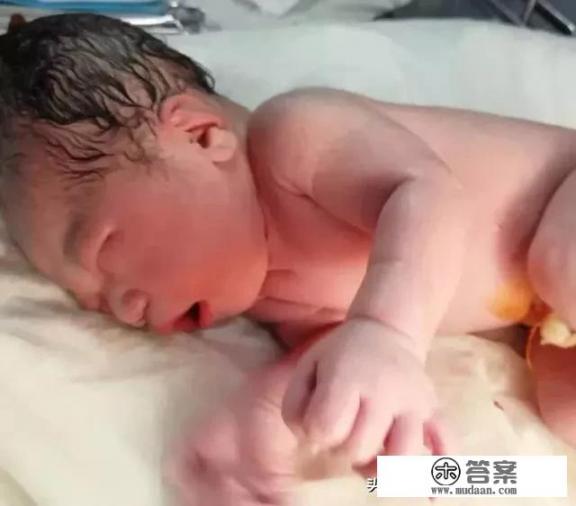 广州月子餐42天食谱? 广州月子餐42天食谱?