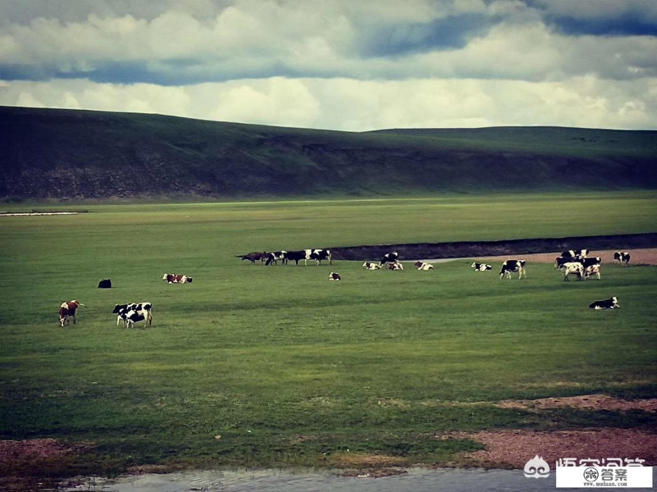 满洲里到漠河自驾攻略？