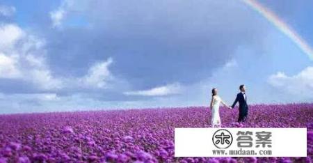 普罗旺斯薰衣草有几种颜色? 普罗旺斯薰衣草有几种颜色?