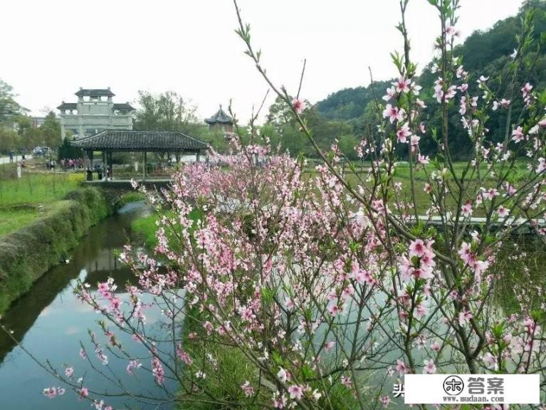 一个人婺源行走穷游攻略可以支帐篷吗？