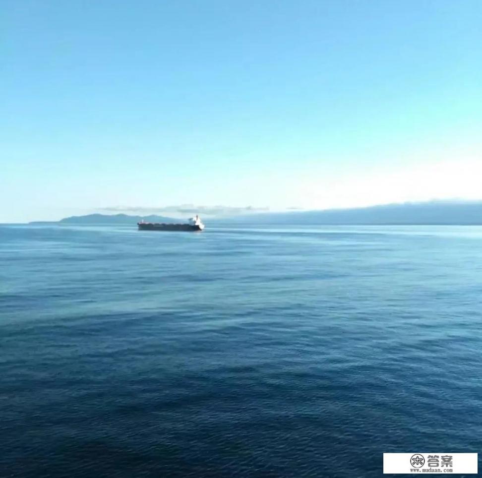 你可知道大海深处仿写？