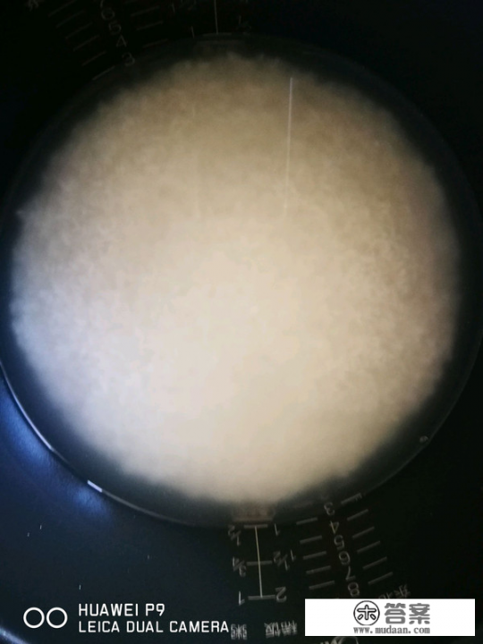 土豆排骨焖饭最正宗的做法？
