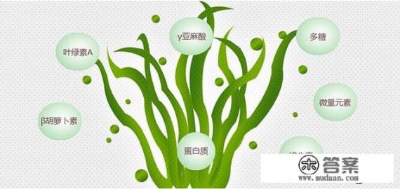 螺旋藻的好处？