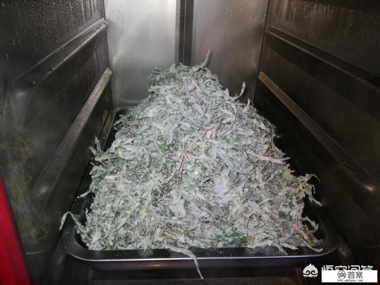 馍馍柳野菜怎么做好吃？