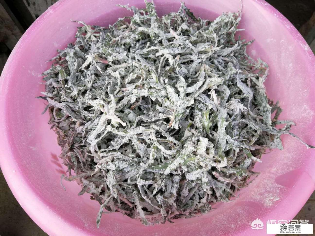 馍馍柳野菜怎么做好吃？