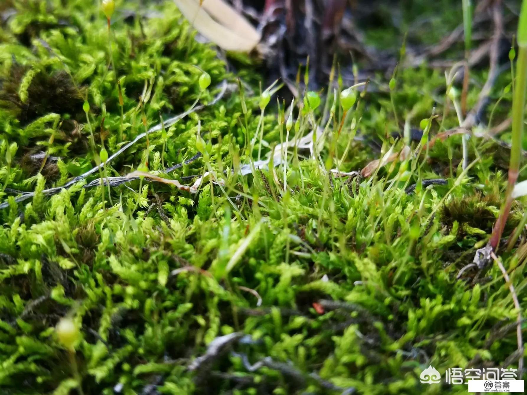 华为p8待遇? 华为p8待遇?