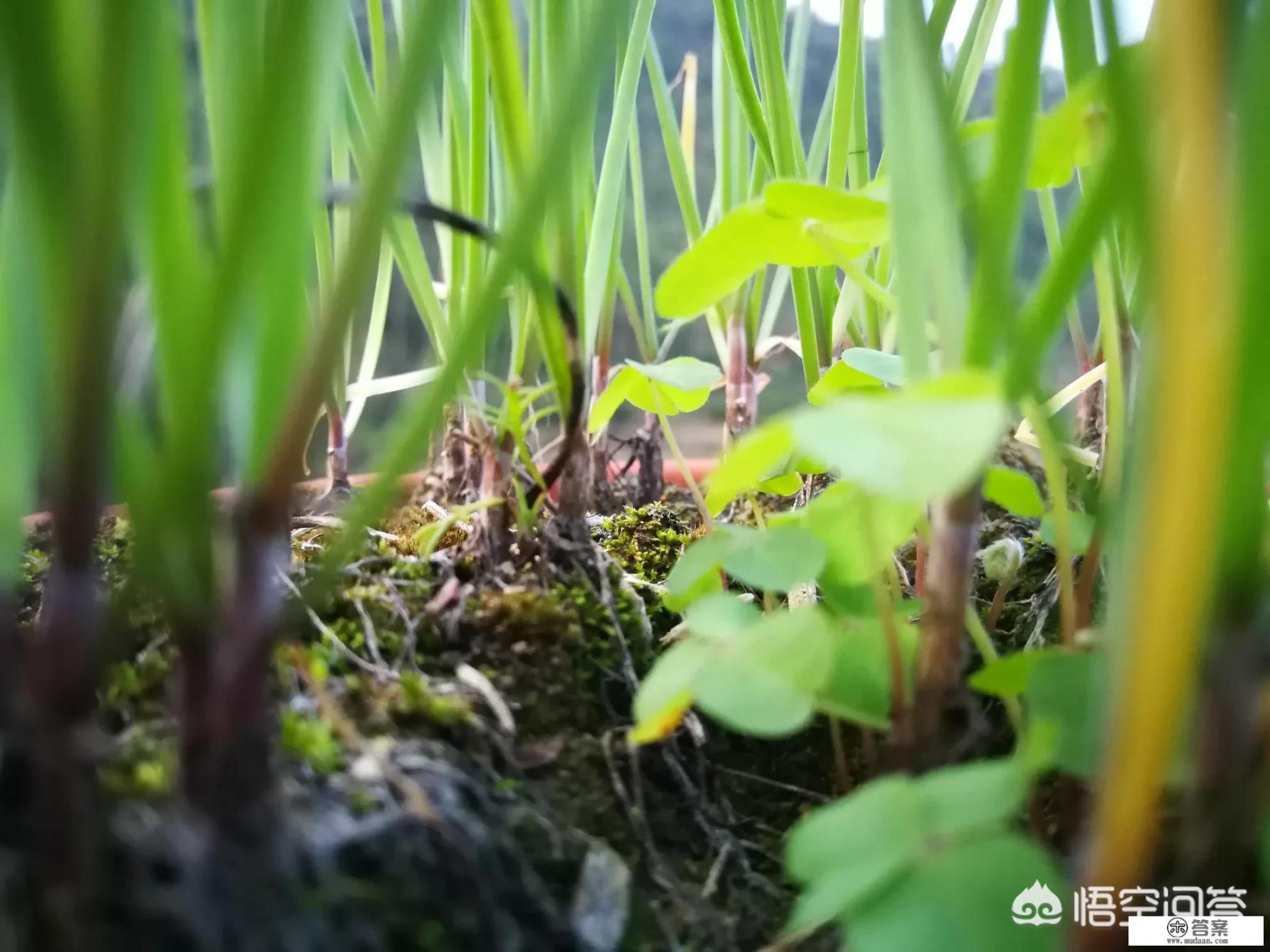 华为p8待遇? 华为p8待遇?