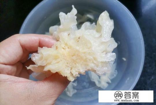 雪梨银耳羹怎么做？