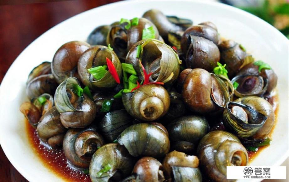 螺蛳该怎么保存? 螺蛳该怎么保存?