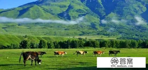 昌吉东三县旅游攻略？