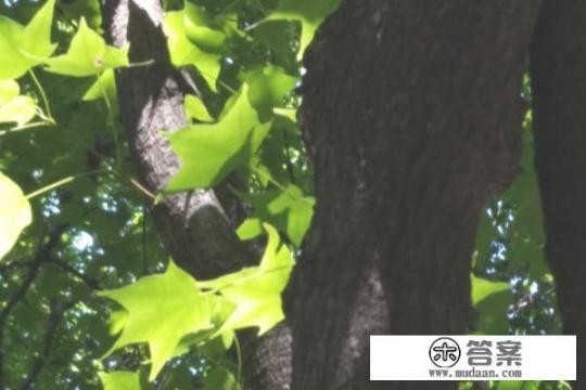 介休绵山游玩攻略？