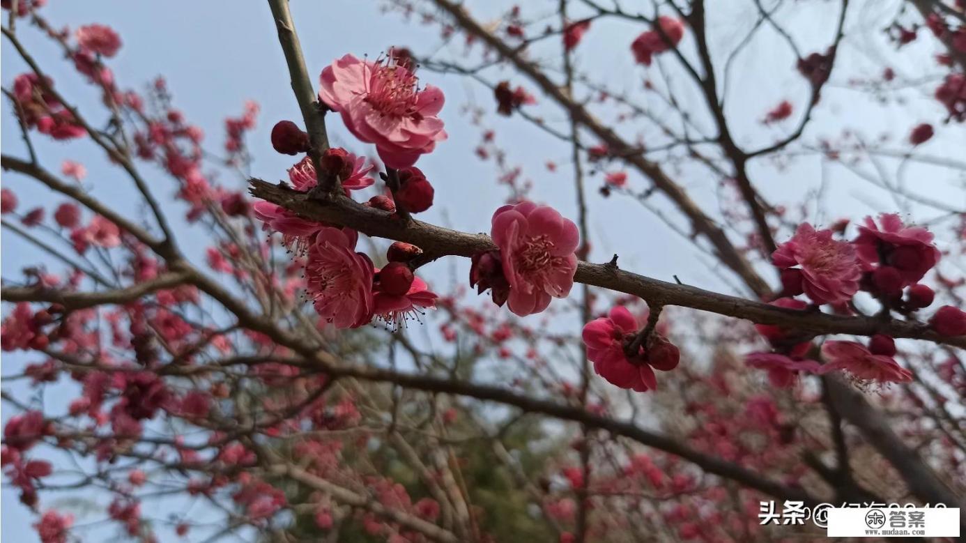 红米note8 pro上市半年多了,实际体验如何? 红米note8 pro上市半年多了,实际体验如何?