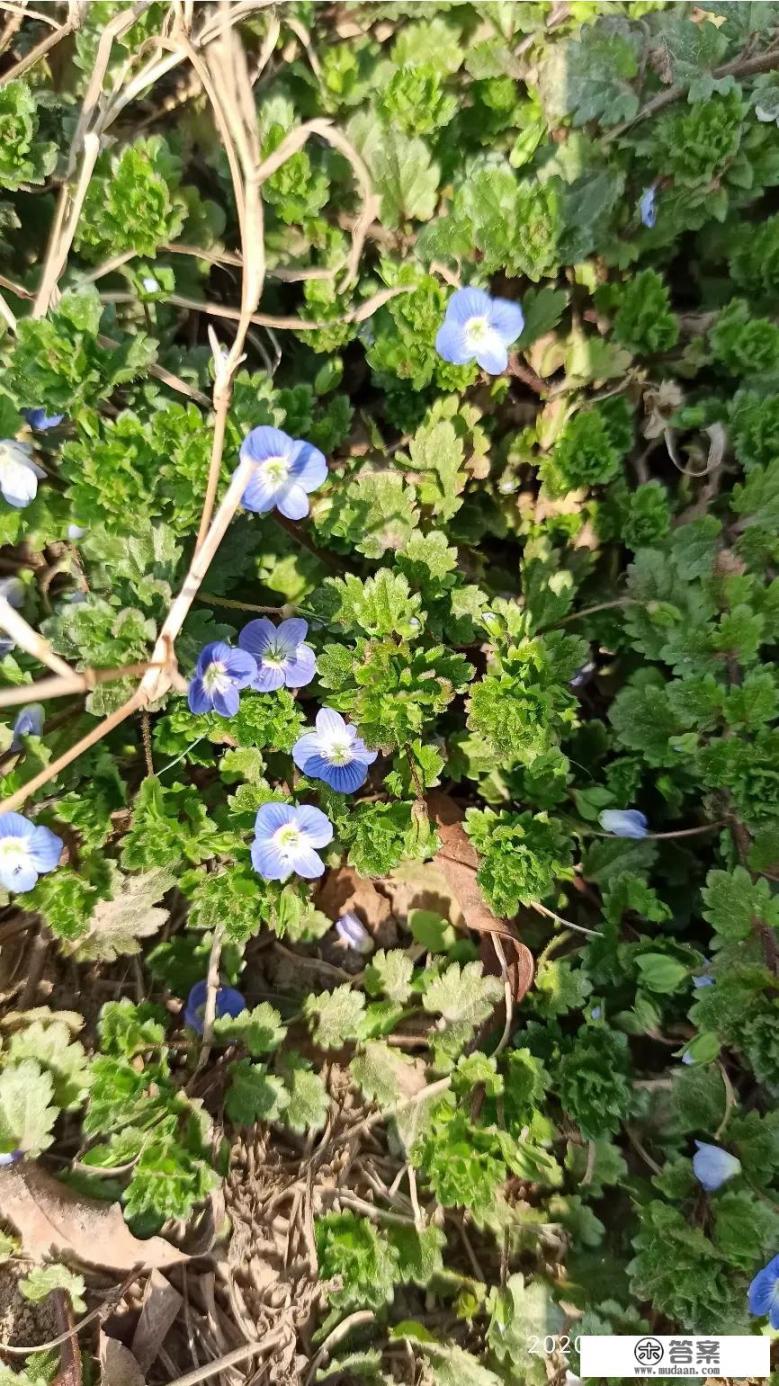 红米note8 pro上市半年多了,实际体验如何? 红米note8 pro上市半年多了,实际体验如何?