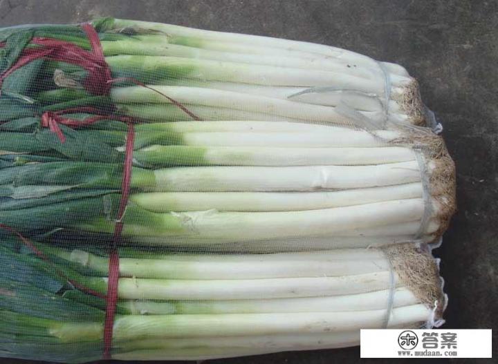 大葱一斤多少钱？