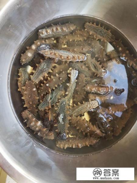 泡发海参的正确方法？