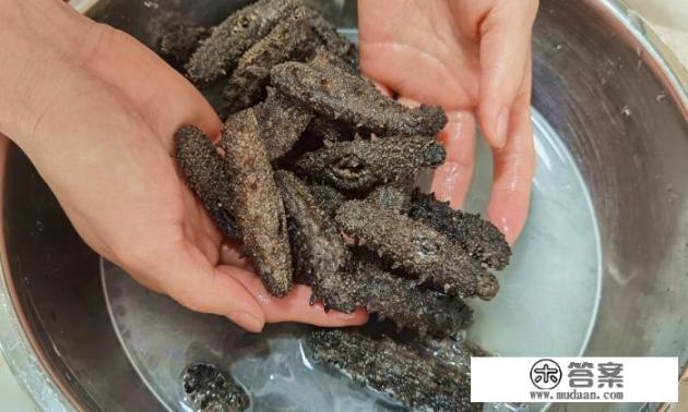 泡发海参的正确方法?