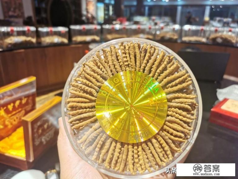 虫草怎么吃效果好？