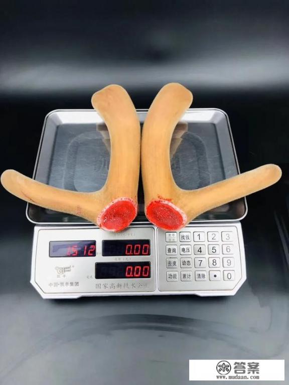鲜鹿茸怎么吃？