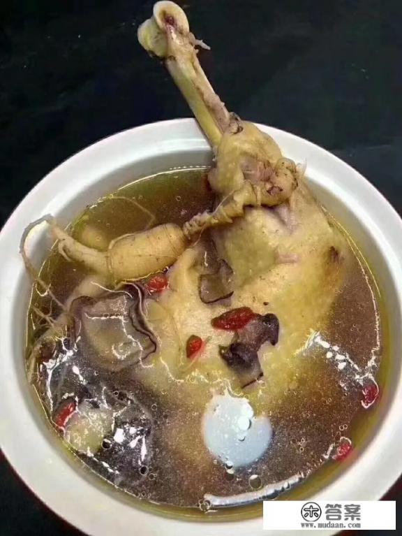鲜鹿茸怎么吃？