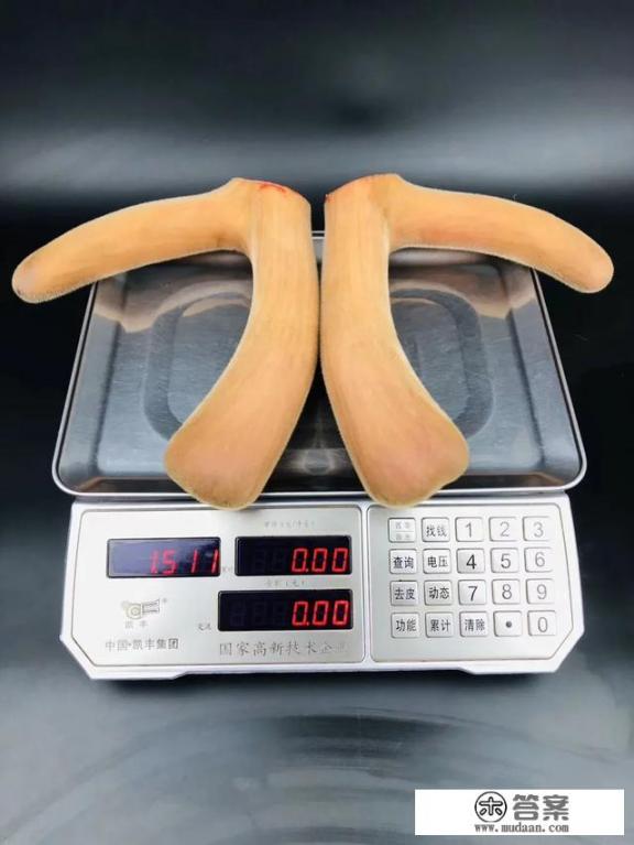鲜鹿茸怎么吃？