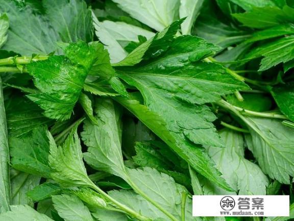 艾叶的鉴别与使用